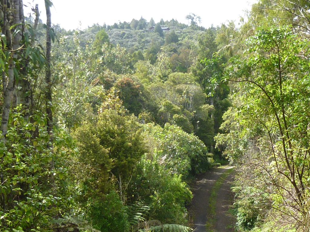 Vila Fern Ridge Hideaway Victoria Valley Exteriér fotografie